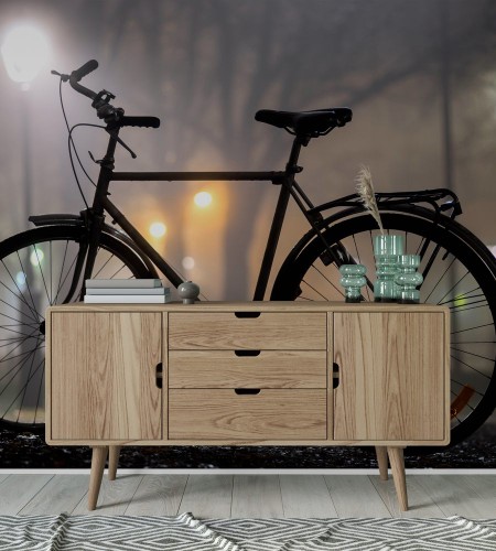 Picture of Silhouette of parked bicycle