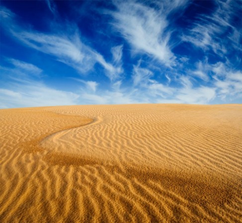 Afbeeldingen van Desert sand dunes on sunrise
