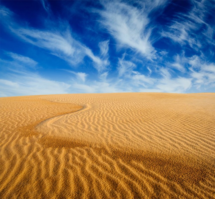Picture of Desert sand dunes on sunrise