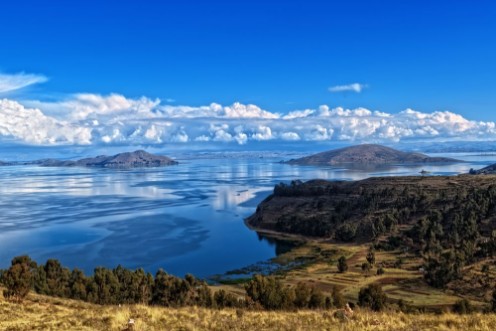 Picture of Titicaca lake Bolivia