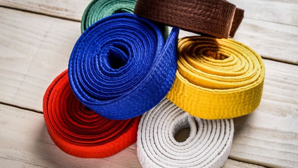 Image de Karate belts