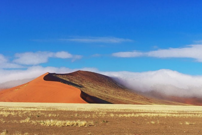Afbeeldingen van Dunes of Namib desert Namibia South Africa