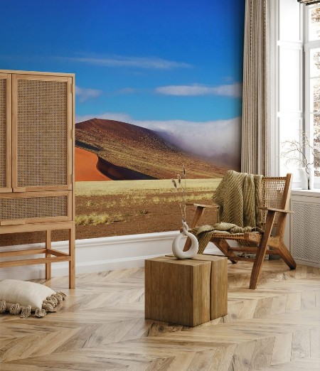 Picture of Dunes of Namib desert Namibia South Africa