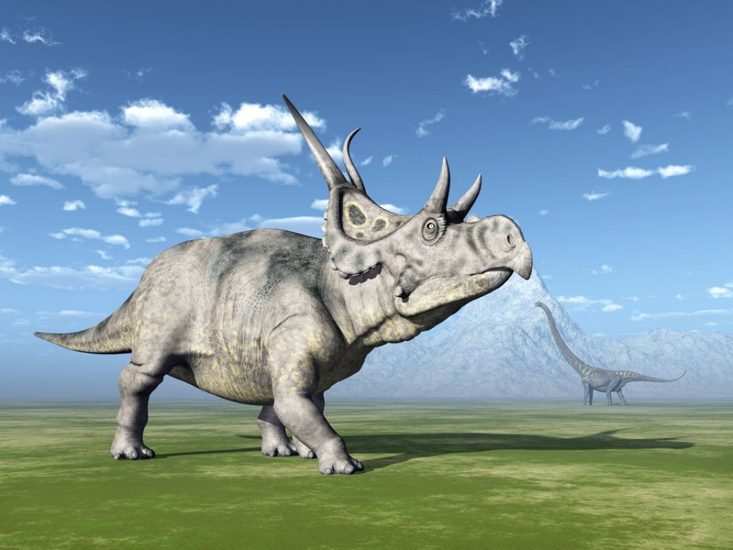 Afbeeldingen van The Dinosaurs Diabloceratops and Mamenchisaurus