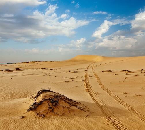 Afbeeldingen van Sand dunes on sunrise Mui Ne Vietnam