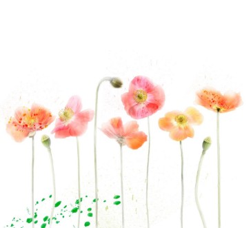 Bild på Red Poppy Flowers