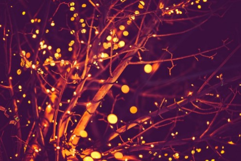 Picture of Holiday Lights Background