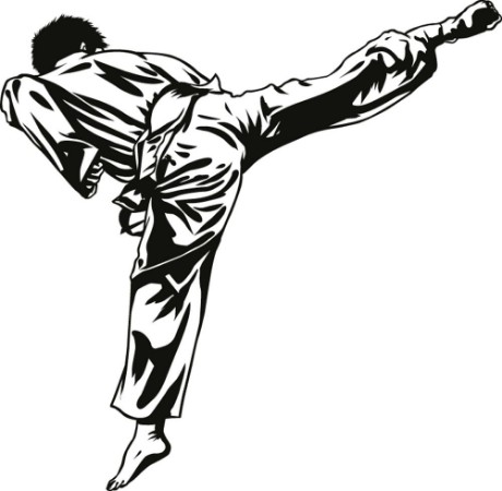 Picture of Taekwon-do