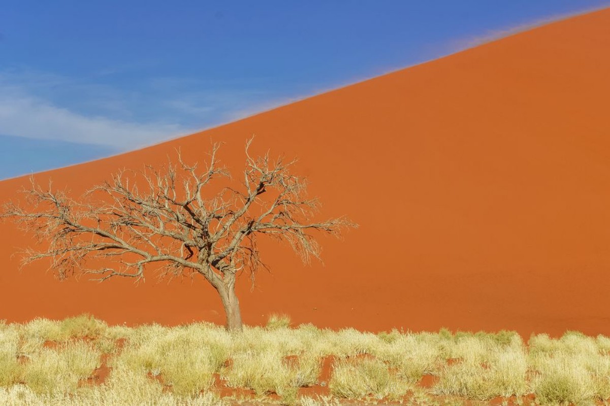 Afbeeldingen van Dunes of Namib desert Namibia South Africa