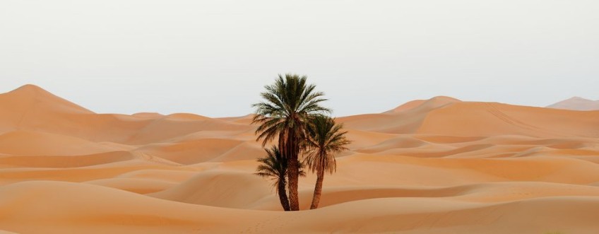 Picture of Morocco Sand dunes of Sahara desert