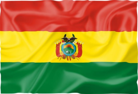Bild på Flag of Bolivia