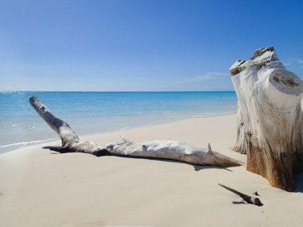 Picture of Cuba Cayo Largo Playa Sirena