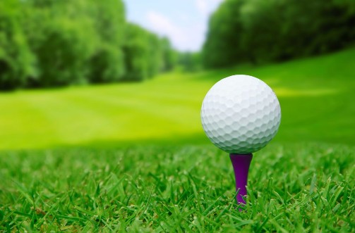 Picture of Golf ball on course