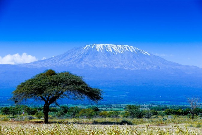 Kilimanjaro landscape photowallpaper Scandiwall