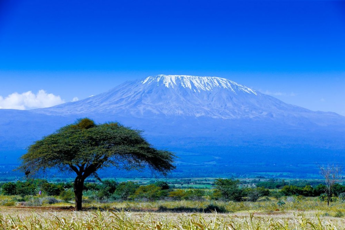 Bild på Kilimanjaro Tanzania