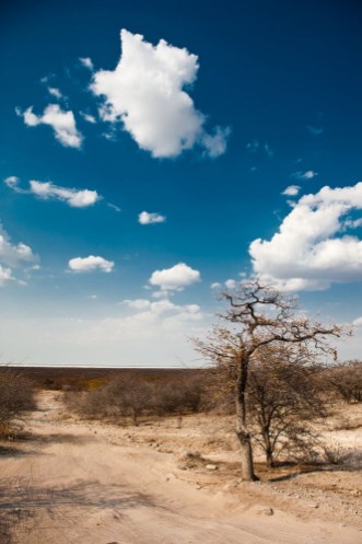 Afbeeldingen van Botswana Africa