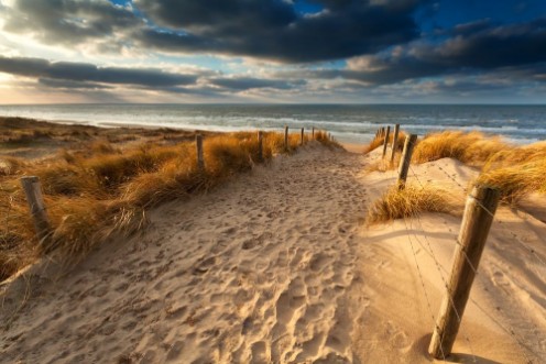 Afbeeldingen van Sand path to North sea beach