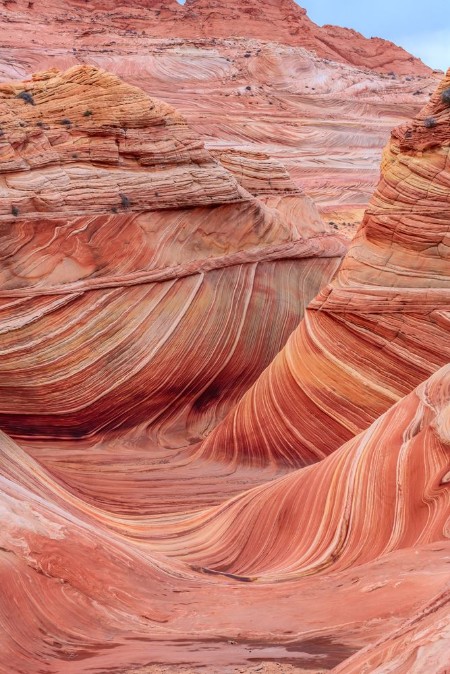 Picture of Wave sandstone