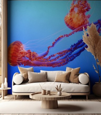 Bild på Orange jellyfish