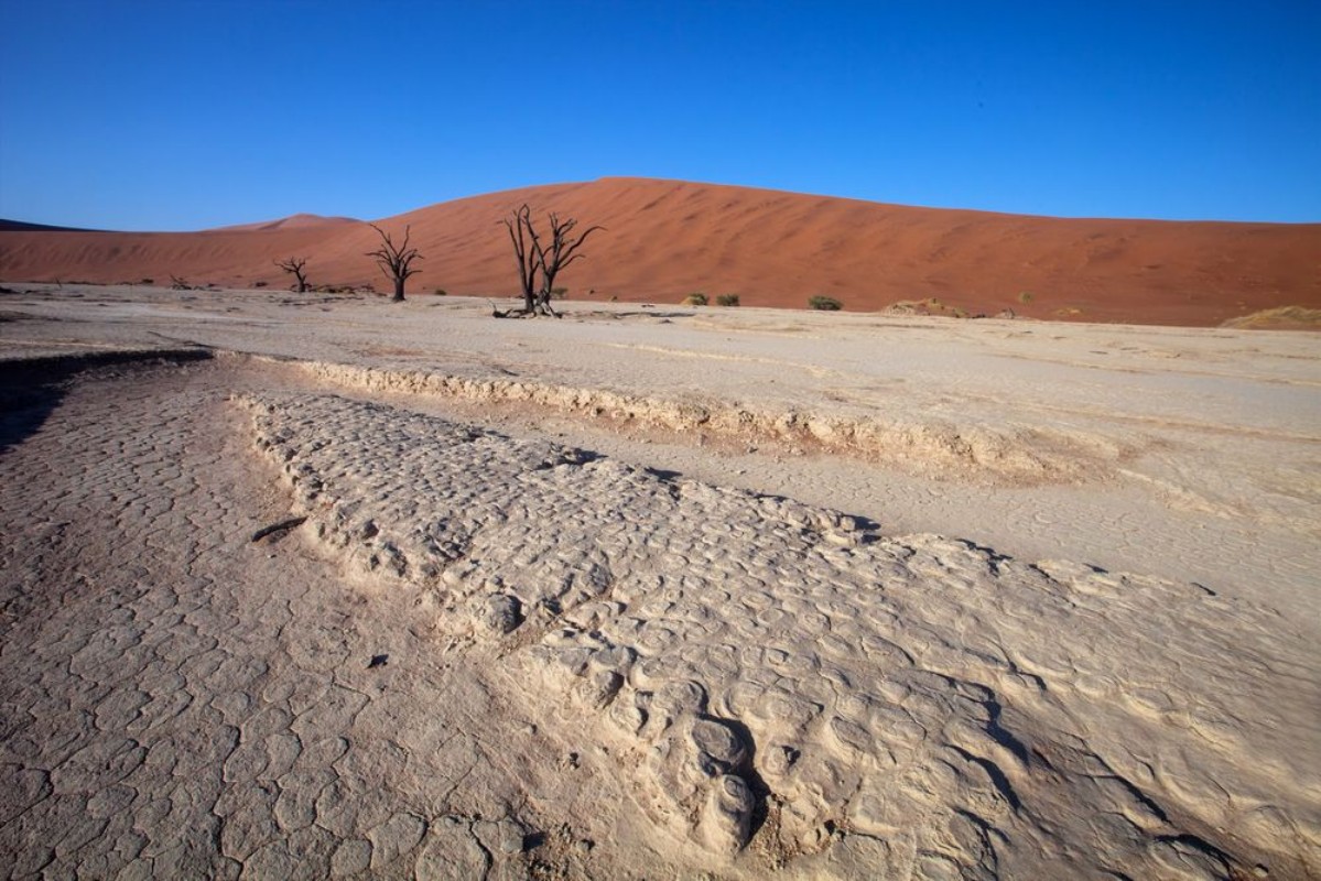 Bild på Stiff cracked soil Sossusvlei Namibia