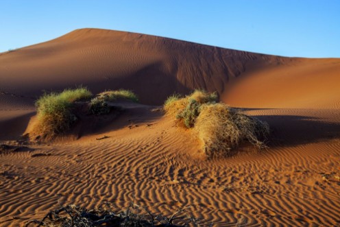 Bild på Desert landscape in Namibia