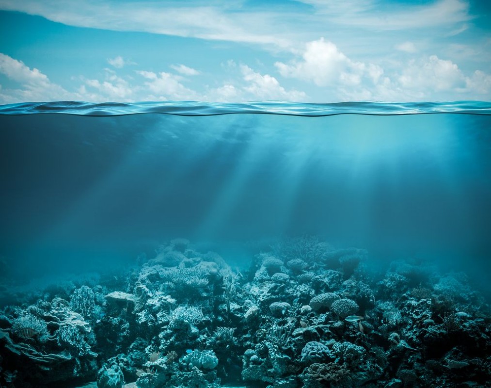 Afbeeldingen van Sea or ocean underwater deep nature background