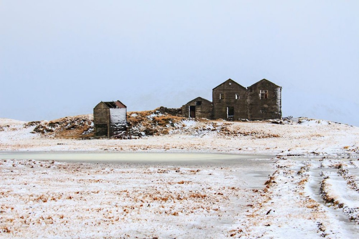 Picture of Islanda fattoria nel campo gelato