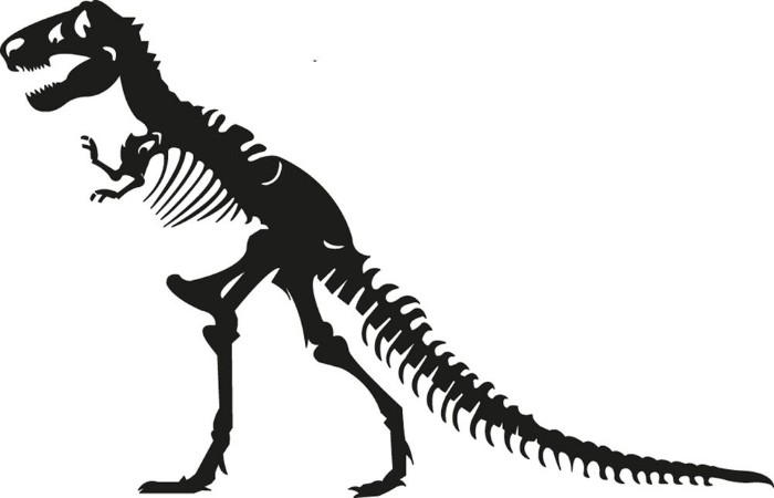 Afbeeldingen van Tyrannosaurus Rex