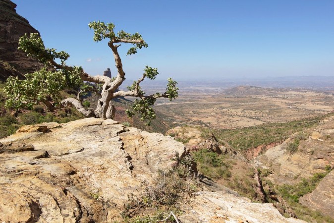 Picture of Landschaft von Tigray thiopien Afrika