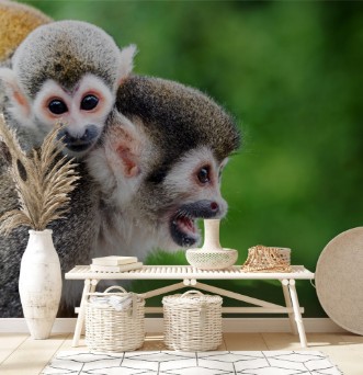 Image de Squirrel Monkey Mother and Child
