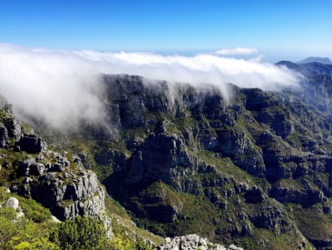 Bild på Wundervolle Aussicht vom Tafelberg Sdafrika