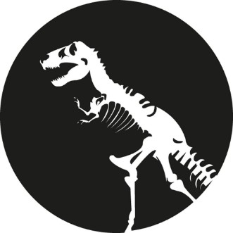 Bild på Skelett Dino