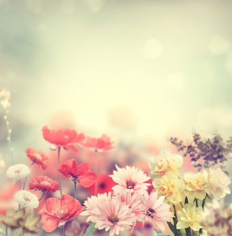 Bild på Colorful Flowers