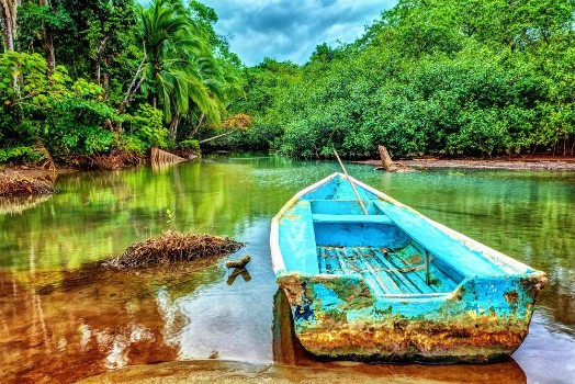 Bild på Old boat in tropical river