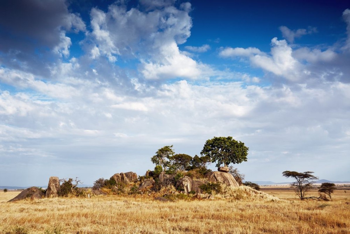 Image de Gol kopjes serengeti