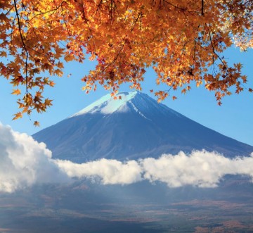 Afbeeldingen van Mt Fuji with fall colors in Japan