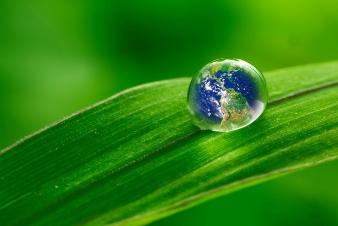Image de Leaf with rain droplets - Recovery earth concept