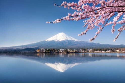 Picture of Berg Fuji in Kawaguchiko Japan