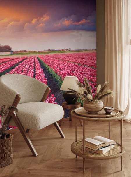 Image de Colorful spring sunrise on the tulip farm near the Creil town