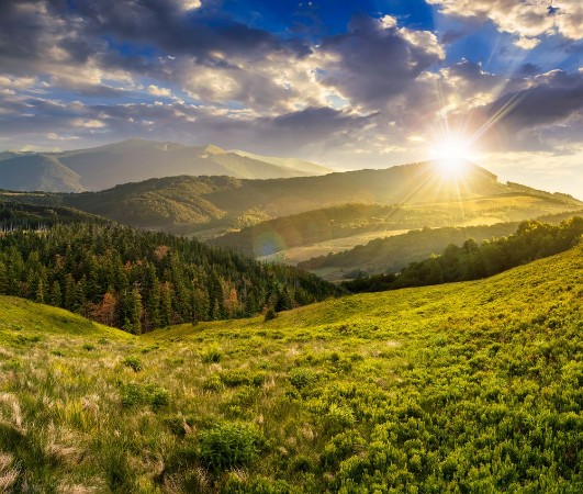 Image de Landscape with valley and forest in high mountains at sunset