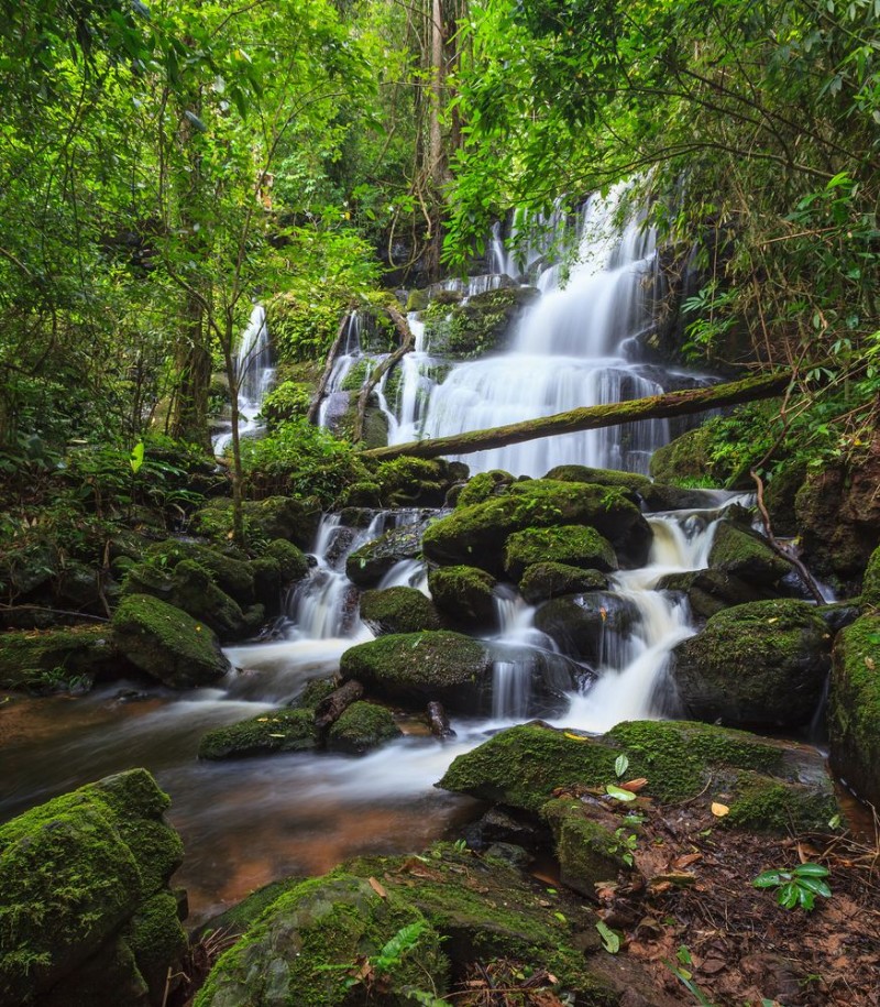 Afbeeldingen van Tropical waterfall in Deep forest
