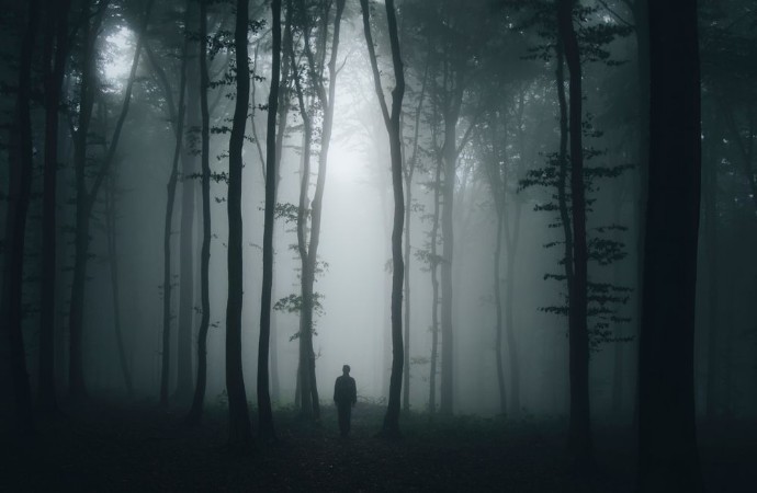 Picture of Spooky halloween scene with man in dark forest
