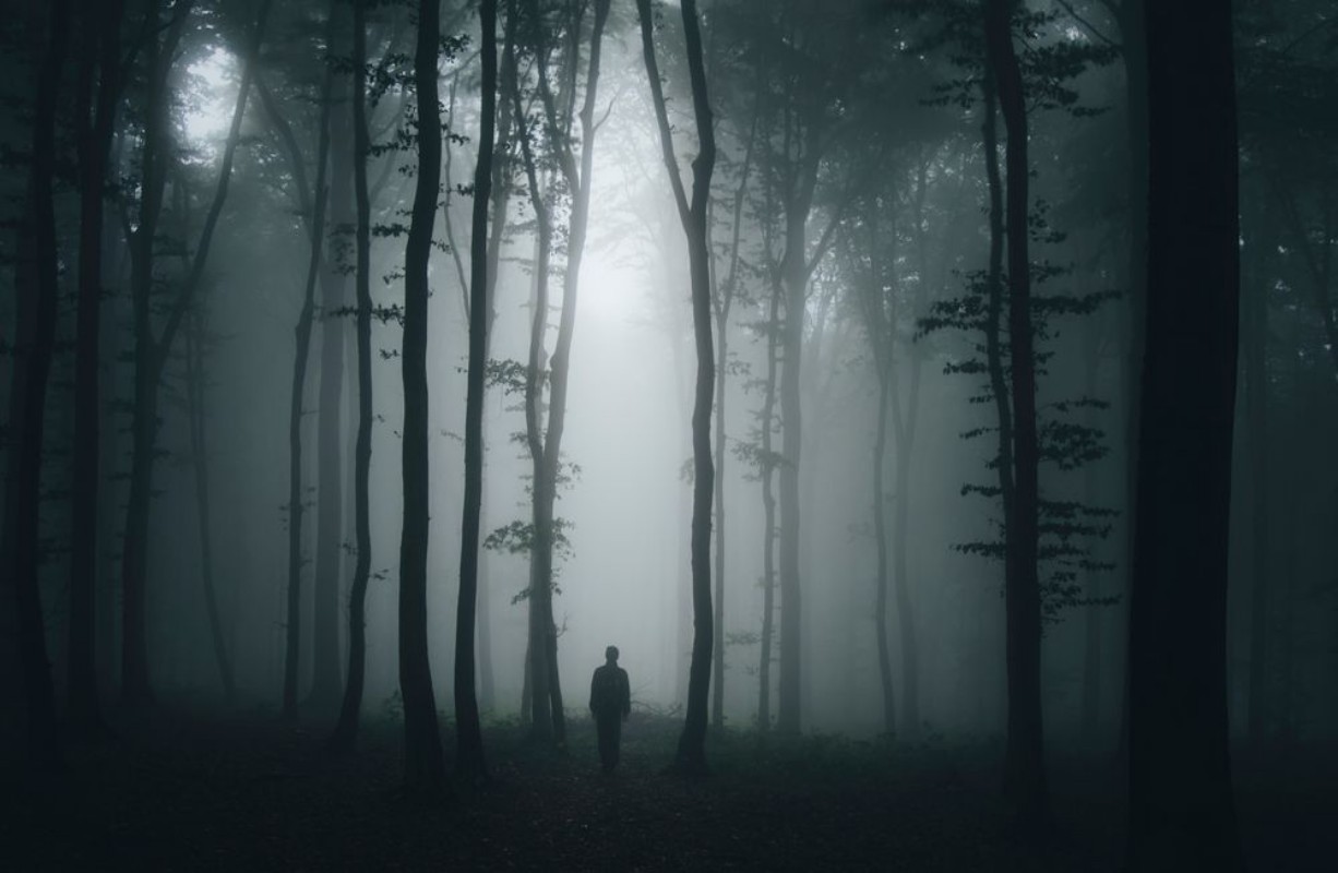 Afbeeldingen van Spooky halloween scene with man in dark forest