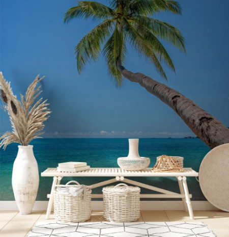 Image de Leaning palm tree over a beach with turquoise sea