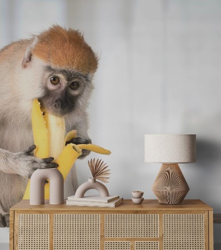 Bild på Monkey Banana Primate