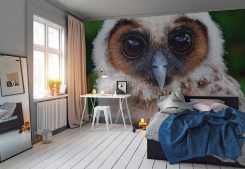 Bild på Ural owl or strix uralensis bird