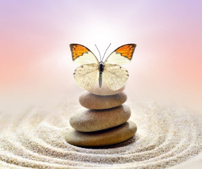 Afbeeldingen van Butterfly and stones balance