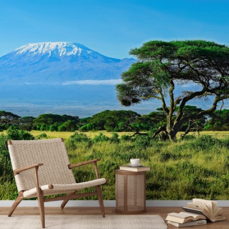 Afbeeldingen van Mount Kilimanjaro vanuit Kenia