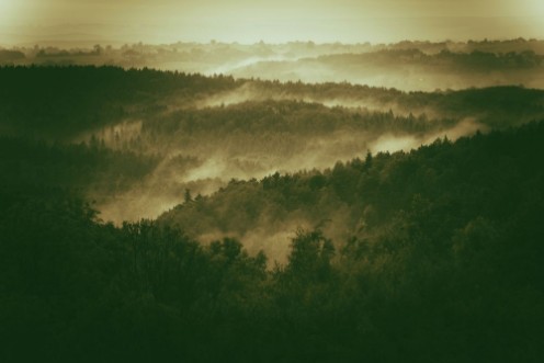 Bild på Foggy Hills of Poland