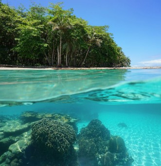 Picture of Tropical shore above and below sea surface